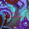 Patience (feat. Kweluude & CasperDidIt) (Explicit) - Jay Blaine&LYA Rook&Kweluude&CasperDidIt
