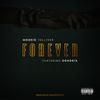 Forever(feat. Dondria) - Mookie Tolliver&Dondria