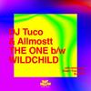 Wildchild - Dj Tuco&Allmostt