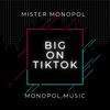 Big on TikTok - Mr.monopol