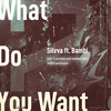 What Do You Want (Kusini Remix) - Silvva&Bambi&Kusini