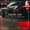 Night Life - Emre Kabak&Gabidulin&Satsuma Music