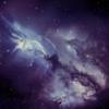 Seek - MitiS