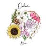 Orchid (Explicit) - OAKUM