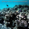 Pensoso - Stefano Giardiniere