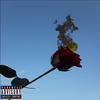 Never Thought (feat. Thedon011) (Explicit) - Miazine&TheDon011