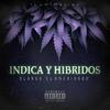 Indica Y Hibridos (Explicit) - Blanko 