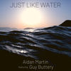 Just Like Water - Aidan Martin