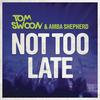 Not Too Late (Radio Edit) - Amba Shepherd&Tom Swoon