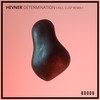 Determination (Cusp Remix) - Hevner