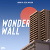 Wonderwall - Shoby&Izzie Naylor
