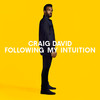 Nothing Like This - Blonde&Craig David