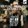 Sexual Healing - Hot 8 Brass Band