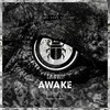 Awake (KUSP|UK|Remix) - David Bau&KUSP (UK)