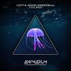 Feelings - LEVT&Jason Johnson
