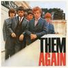 I Put a Spell on You - Them&Van Morrison