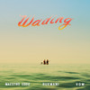 Wading - Maestro Eddie&Rukmani&VOW