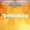 Euphoric Light (Nuestro Remix) - DJ Xquizit&Hidden Tigress&Nuestro