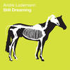 Still Dreaming - Andre Lodemann