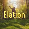 Elation - Just Wisdom