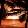 Sunsets WIth You - Xotic