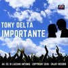 Importante (Original Mix) - Tony Delta