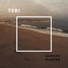 Always Wanted - Tebi