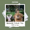 Because I Love You (Inst.) - 김종완 of NELL