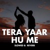 Tera Yaar Hu Me (Slowed & Reverb) - Akash Khaira