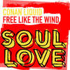 Free Like The Wind (Extended Mix) - Conan Liquid
