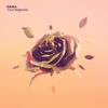 Inhale - Your Magnolia
