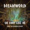 she don't like me (feat. Dreamworld) (Explicit) - LILVICBXI&Dreamworld