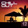 Discover (Zetandel Chillout Mix) - Faruk Sabanci&Jaren