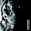 Eye of the tiger (Short Mix) - ElektroKid