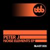 Enigma (Original Mix) - Peter J