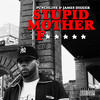 Stupid Mother F***** (Explicit) - Punchline&James Digger