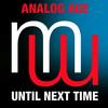 Until Next Time (Original Mix) - Analog Age