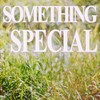 something special - Jives&qtsal