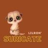 Suricate - Lilron'