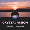 Crystal Vision(feat. Itzyoungjay) - Black Wolf&ITZYOUNGJAY