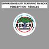 Perception (Celwin Frenzen Remix) - Emphased Reality&Tim Nokx