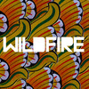 Wildfire - SBTRKT&Little Dragon