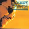 In The Summertime - Shaggy&Rayvon