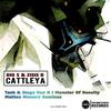 Cattleya (Tash & Stage Van H remix) - Zisis D&Dio S