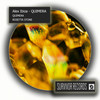 Rosetta Stone - Alex Ibiza