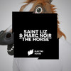 The Horse (Jacob Van Hage Remix) - Saint Liz&Marc Noir