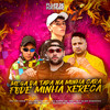 Mega da Tapa na Minha Cara - Fode Minha Xereca (Explicit) - MC VN CRIA&DJ M13 DA ZO&DJ RAFA DA VM&Mc Indiazinha&DJ Alef Rodrigo
