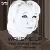 Wake Me Up (Roney Jay & DGT Chyna Platez Remix) - Roney Jay&Shelley Nelson&Qualifide