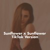 Sunflower x Sunflower (TikTok Version) - Akash Khaira