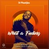 What a feeling - St Plaatjies&Osborn&NBass&Katlego